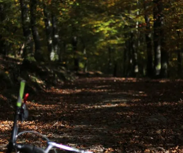 Σπίτι διακοπών Haus Anna