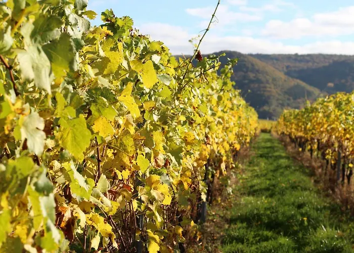 Σπίτι διακοπών Haus Anna